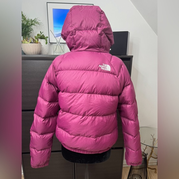 The North Face Hydrenalite Hooded Down Jacket - Picture 10 of 16